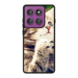 Prayer Cat Motorola Moto Edge 60 Pro Case