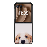 Lonely Dog Motorola Moto RAZR Plus 2025 Case