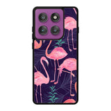 Flamingo Purple Pattern Motorola Moto Edge 60 Pro Case