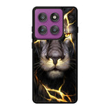 Gold Lion Motorola Moto Edge 60 Pro Case