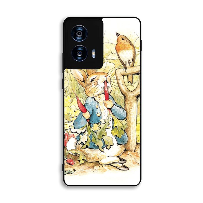 Beatrix Potter Peter Rabbit Motorola Moto G Power 5G 2024 Case DC5268