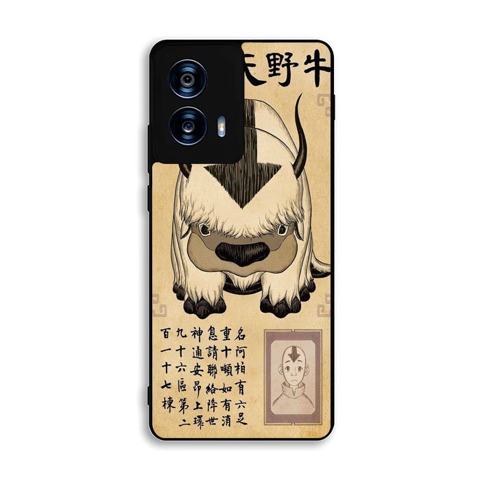 Appa Avatar The Last Airbender Motorola Moto G Power 5G 2024 Case DC2136