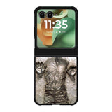 Star Wars Han Solo Frozen in Carbonite Motorola Moto RAZR 2025 Case