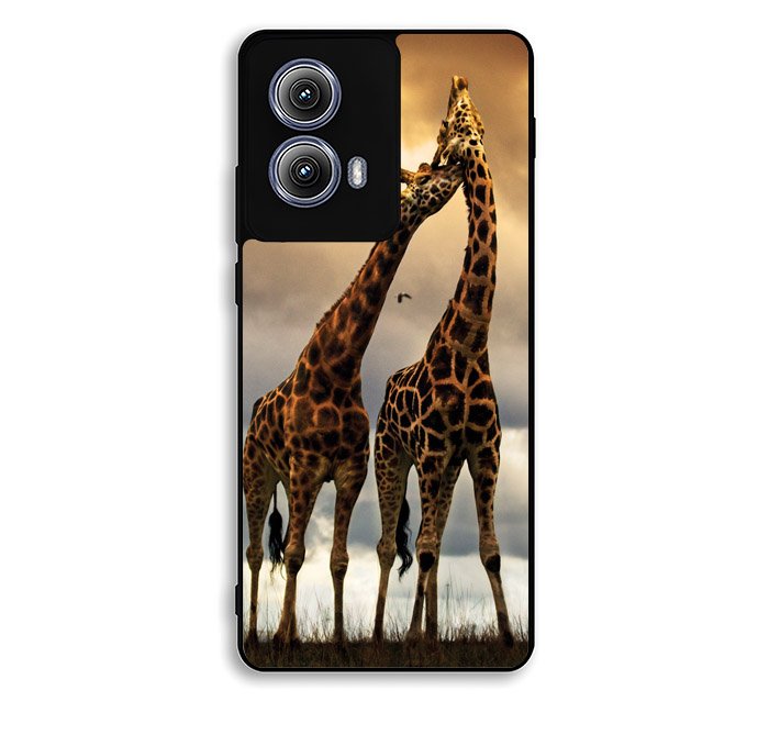 giraffes photography Motorola Moto Edge 2024 Case DC1512