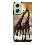 giraffes photography Motorola Moto G Stylus 5G 2024 Case