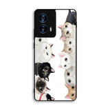 Cat Community Motorola Moto G Power 5G 2024 Case DC6767